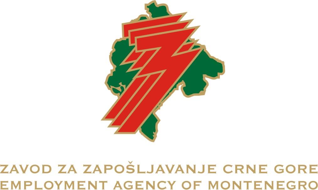 logo zzzcg.jpg
